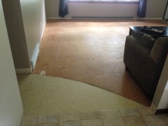 carpet removal (3)